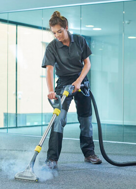 HOUSE CLEANING